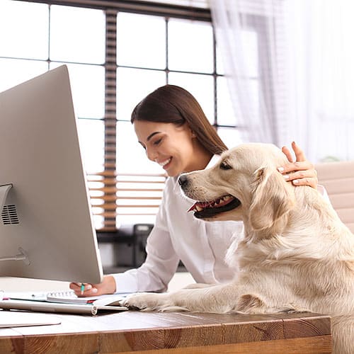 Büro Hund, IT Personalvermittlung, IT Headhunter, IT Personalberatung, Berlin, Brandenburg, München